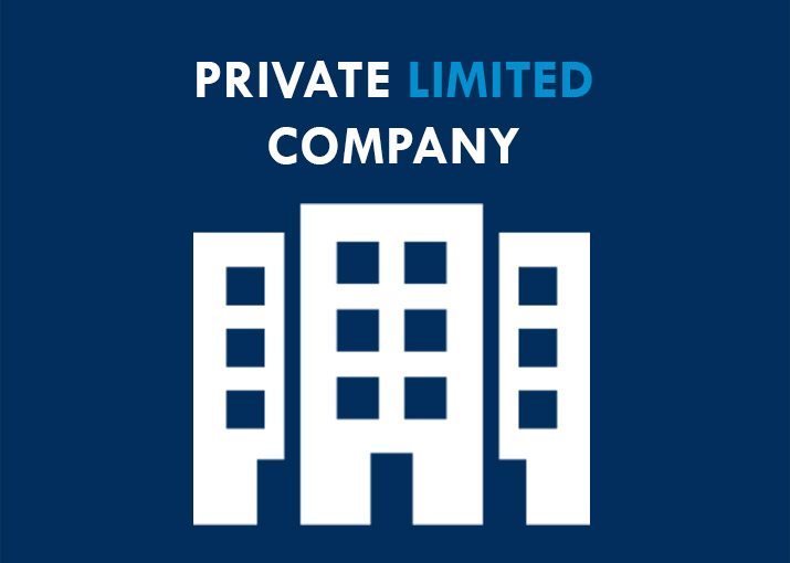 PRIVATE LIMITED COMPANY